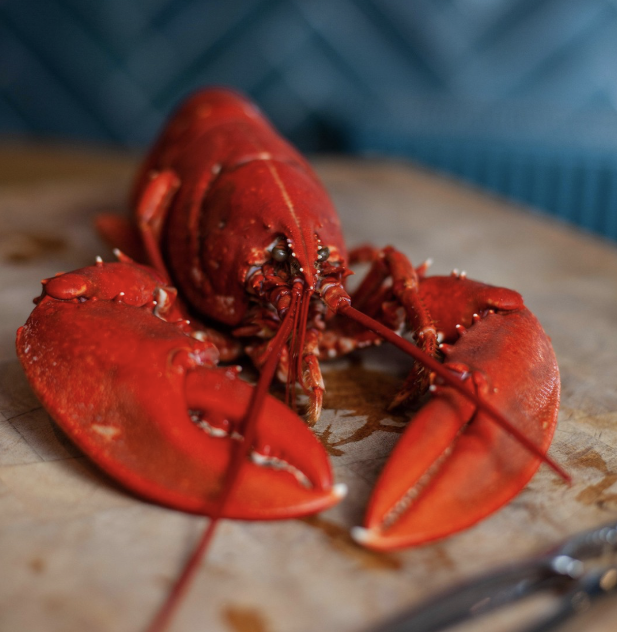 Gamba, Glasgow